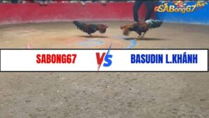 TRẬN 2 BỒ HOA LƯ 9/1/2025