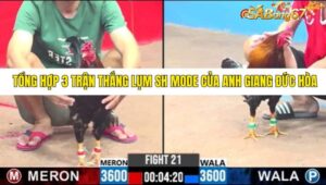 TỔNG HỢP 3 TRẬN THẮNG NHẬN SH MODE