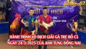 GIẢI GÀ TRE BỒ C1 24/3/2025