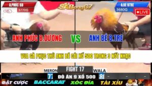 TRẬN 17 CPC3 22/4/2025