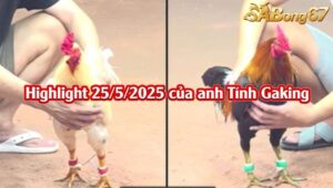 TỔNG HỢP 3 TRẬN THẮNG NHẬN 2000$