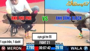 TRẬN 21 CPC3 30/5/2025