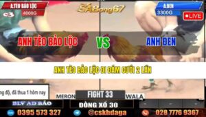 TRẬN 33 CPC3 23/05/2025