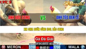 TRẬN 41 CPC2 1/6/2025