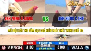 TRẬN 36 CPC3 27/7/2025