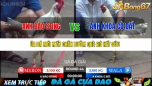 TRẬN 44 BỒ TONHON 12/9/2025