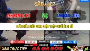 TRẬN 12 BỒ TONHON 12/9/2025
