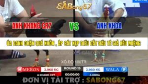 TRẬN 15 BỒ TONHON 12/9/2025