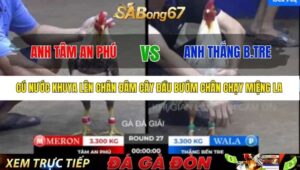 TRẬN 27 BỒ TONHON 12/9/2025