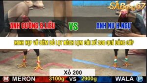 TRẬN 46 CPC5 20/9/2025