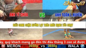 TRẬN 6 CPC5 20/9/2025