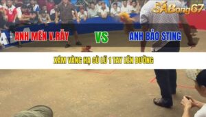 TRẬN 9 TONHON 27/9/2025