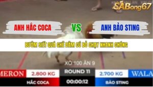 TRẬN 11 TONHON 18/10/2025