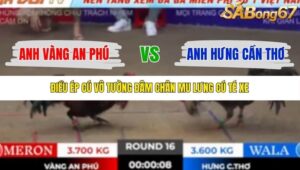 TRẬN 16 TONHON 18/10/2025