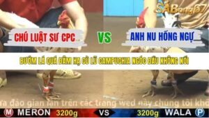 TRẬN 21 CPC4 17/10/2025