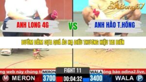 TRẬN 11 CPC6 31/10/2025