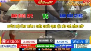 TRẬN 10 TONHON 10/10/2025