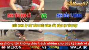 TRẬN 19 CPC5 3/10/2025