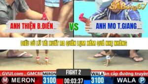 TRẬN 2 CPC6 25/10/2025