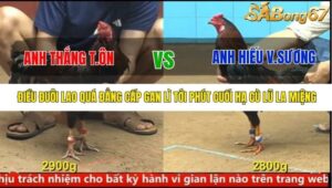 TRẬN 28 CPC4 1/10/2025