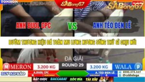 TRẬN 29 TONHON 10/10/2025