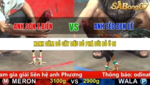 TRẬN 6 CPC5 3/10/2025