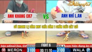 TRẬN 6 CPC6 26/10/2025