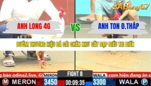 TRẬN 8 CPC6 31/10/2025