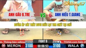 TRẬN 9 CPC6 31/10/2025