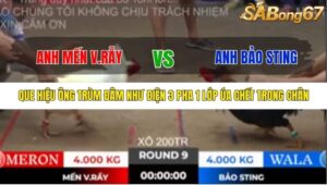 TRẬN 9 TONHON 10/10/2025