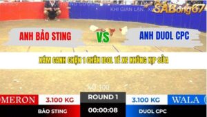 TRẬN 1 TONHON 14/11/2025