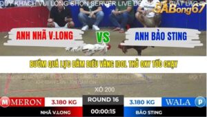 TRẬN 16 TONHON 28/11/2025