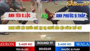 TRẬN 17 TONHON 28/11/2025