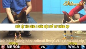 TRẬN 19 CPC4 NGÀY 18/11/2025