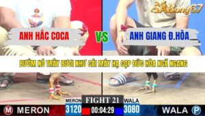 TRẬN 21 CPC3 30/11/2025