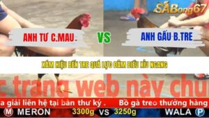 TRẬN 21 CPC5 NGÀY 20/11/2025