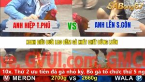 TRẬN 23 CPC5 NGÀY 13/11/2025