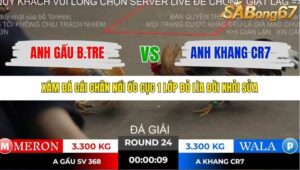 TRẬN 24 TONHON 2/11/2025