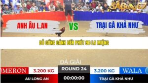 TRẬN 24 TONHON NGÀY 14/11/2025