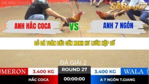 TRẬN 27 TONHON NGÀY 14/11/2025