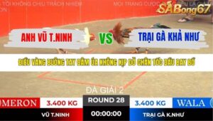 TRẬN 28 TONHON NGÀY 14/11/2025