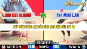 TRẬN 3 CPC3 30/11/2025