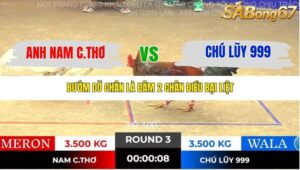 TRẬN 3 TONHON 14/11/2025