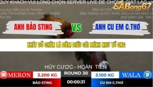 TRẬN 30 TONHON 2/11/2025