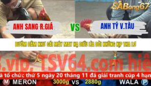 TRẬN 35 CPC5 NGÀY 13/11/2025