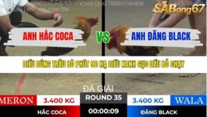 TRẬN 35 TONHON 28/11/2025