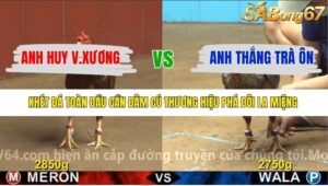 TRẬN 37 CPC4 27/11/2025