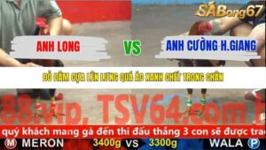 TRẬN 37 CPC5 NGÀY 13/11/2025