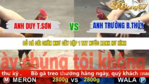 TRẬN 38 CPC5 NGÀY 13/11/2025