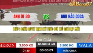 TRẬN 38 TONHON 28/11/2025